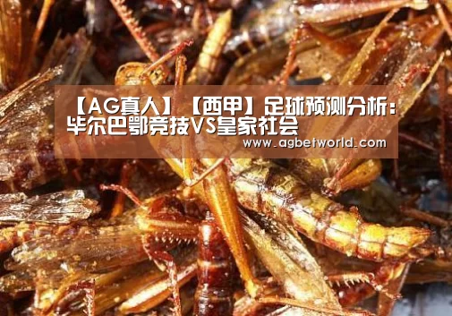 【AG真人】【西甲】足球预测分析：毕尔巴鄂竞技VS皇家社会